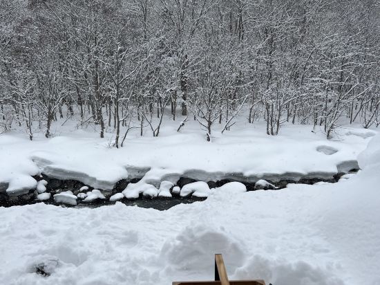 星野リゾート 奥入瀬渓流ホテル クーポン