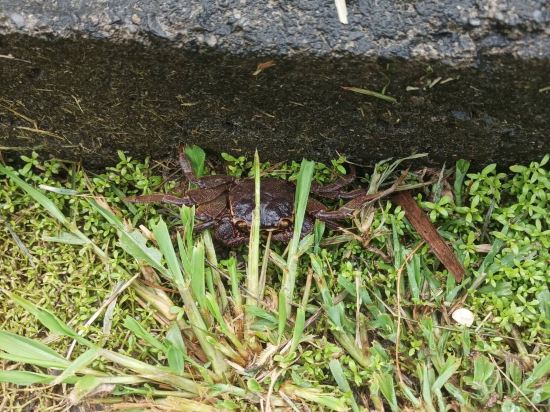 屏東享念海灣民宿優惠