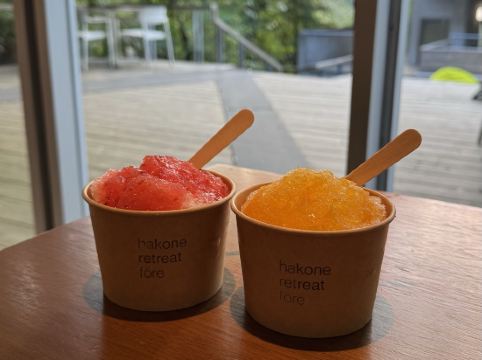 箱根リトリート フォーレ クーポン