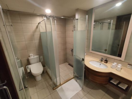 嘉義耐斯王子大飯店優惠