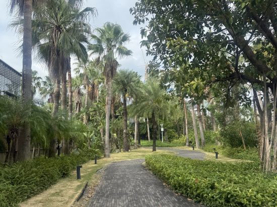 深圳藍楹灣度假酒店優惠