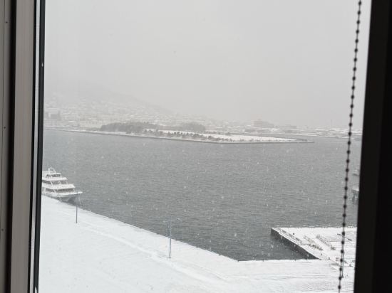 東急STAY函館早市飯店 燈之湯優惠