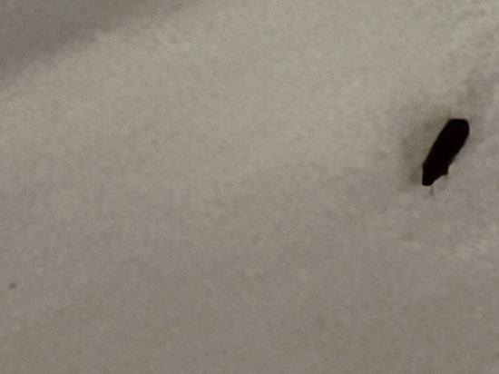 納吉特娛樂場度假村優惠