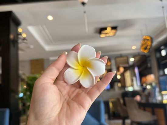 會安黃金假日水療飯店優惠