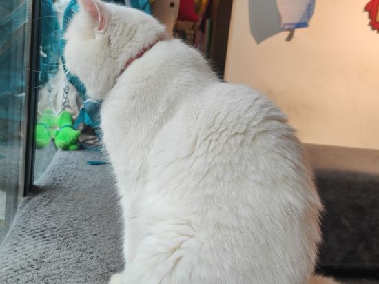 重慶吃山文化青年旅店優惠