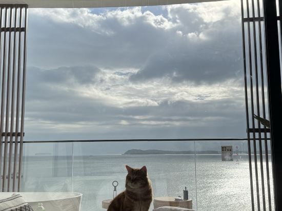 深圳INNOBAY楹諾·小半灣民宿優惠