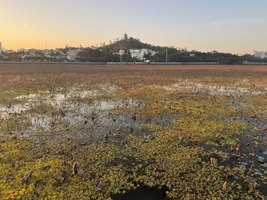 橋頭三正半山飯店優惠