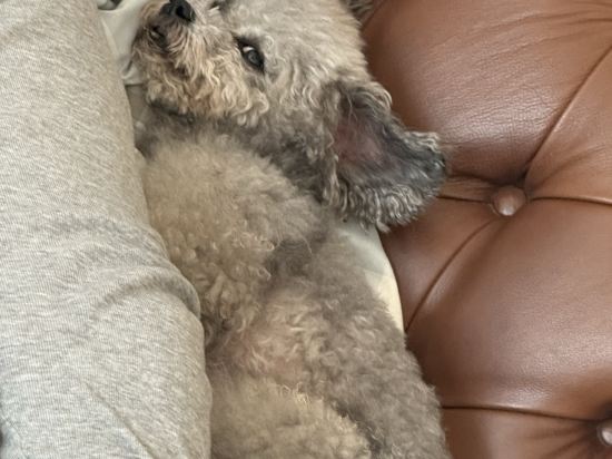 北京怡亨酒店優惠