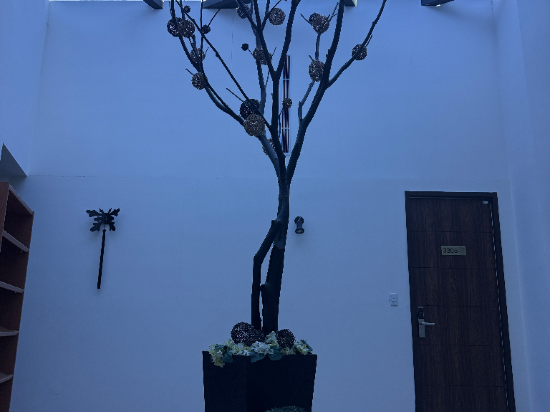 苗栗泰安湯悅溫泉會館優惠