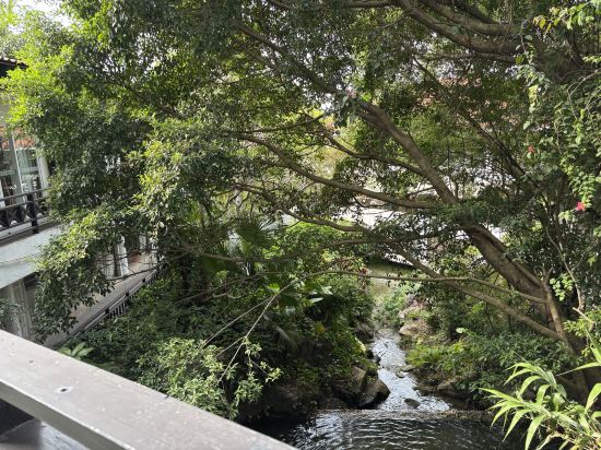 深圳青青世界飯店優惠