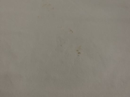 浮羅交怡阿瑟尼亞度假酒店優惠