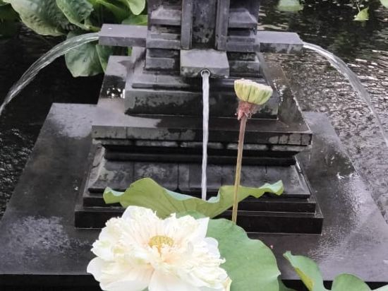 安達仕巴釐 - 一種凱悅概念優惠