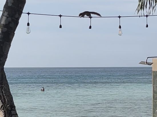 停泊島度假村優惠