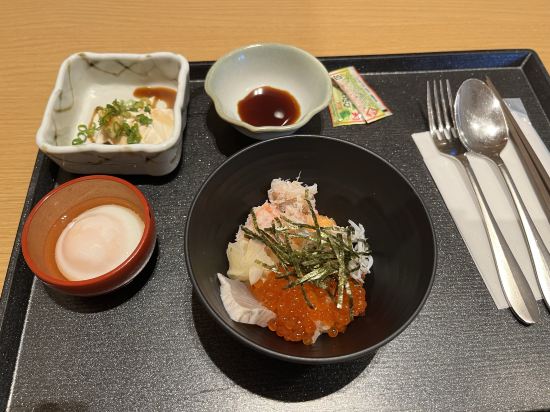 天然溫泉境港御宿野乃飯店優惠