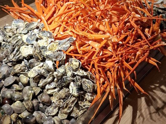 湯快リゾート 平戸千里ヶ浜温泉 ホテル蘭風 クーポン