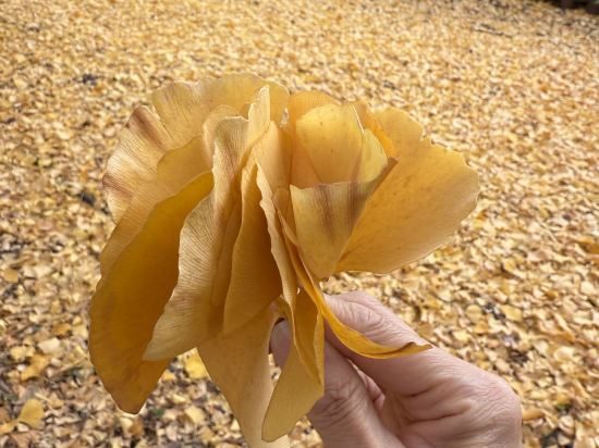 淺草東武酒店優惠