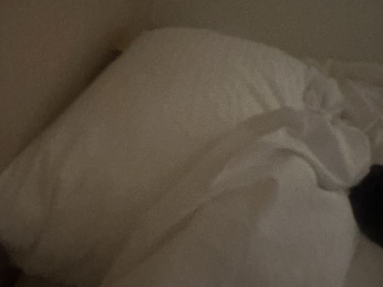 台中華登商務大飯店優惠