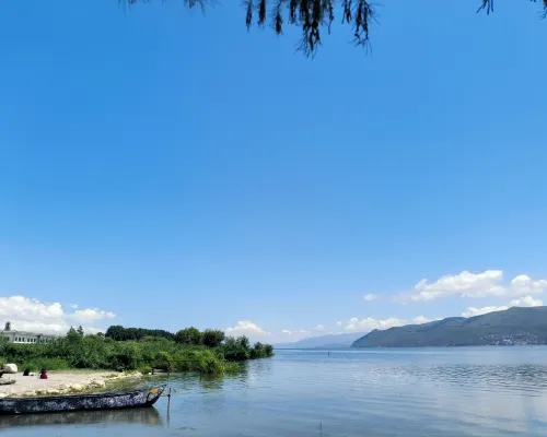 Wutong hotel الأماكن العامة Photos