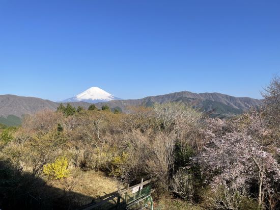 ホテルグリーンプラザ箱根 クーポン