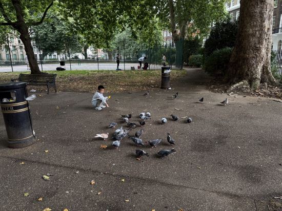 倫敦賈德酒店優惠