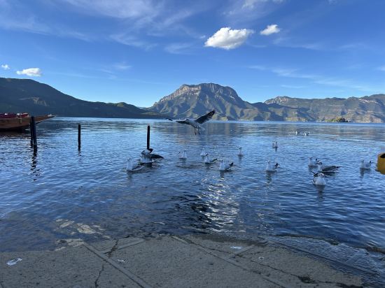 瀘沽湖青山青旅優惠