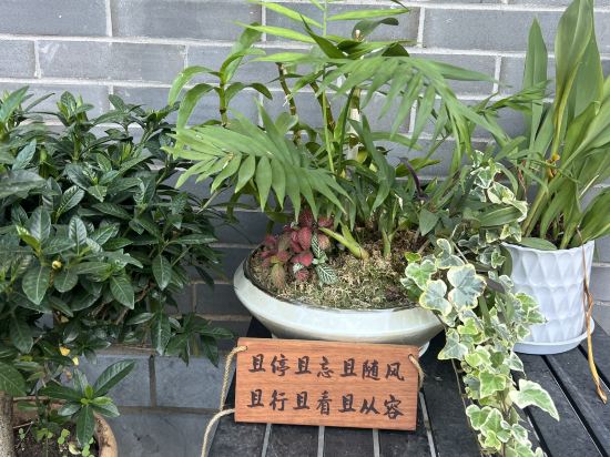 北京天倫松鶴大飯店優惠