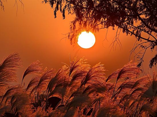 維也納國際飯店（杭州瓶窯良渚文化店）優惠