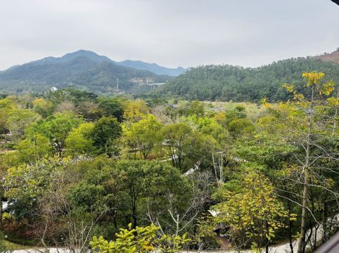 清遠芊麗酒店優惠