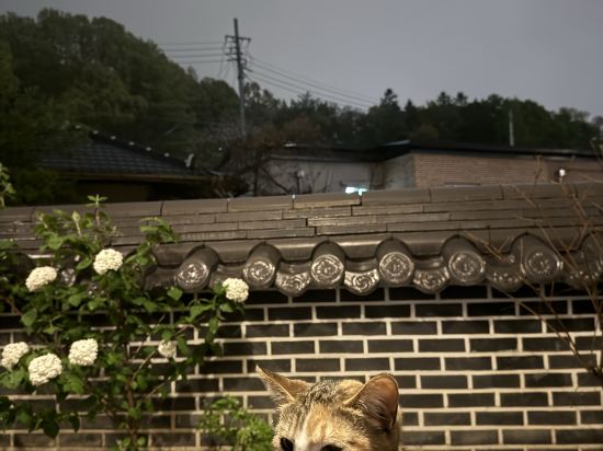 이가한옥 쿠폰