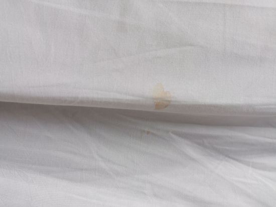 迪克森海中天港口優惠