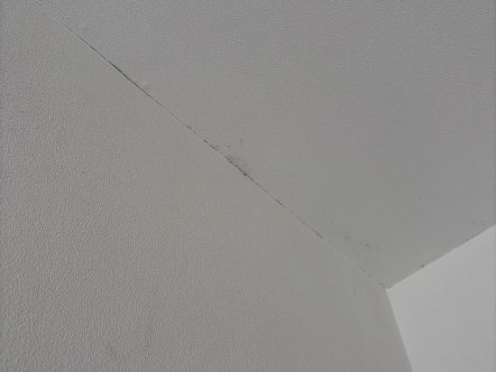 ホテルマイステイズ清水 クーポン