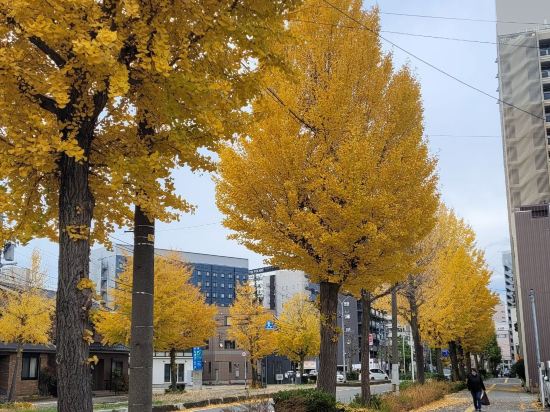 富山站新幹線 1 號東橫 INN優惠