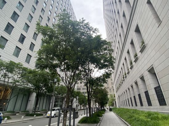 ベストウェスタンプラス ホテルフィーノ大阪北浜 クーポン