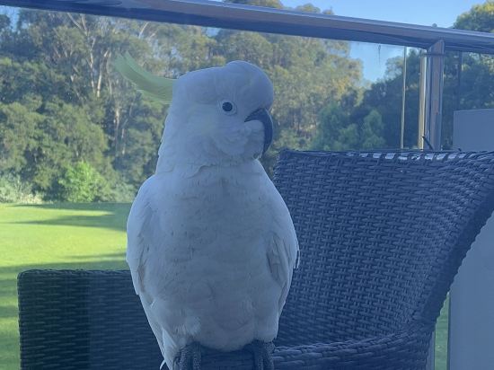 MGSM行政酒店優惠