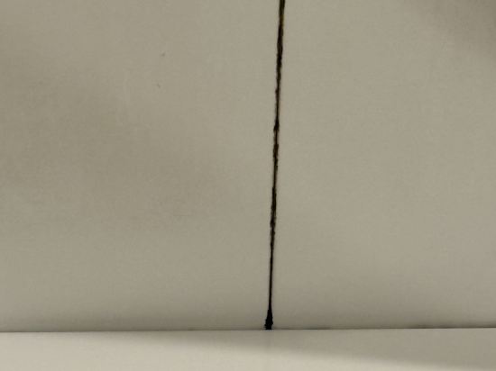 オリエンタルホテル ユニバーサル・シティ クーポン