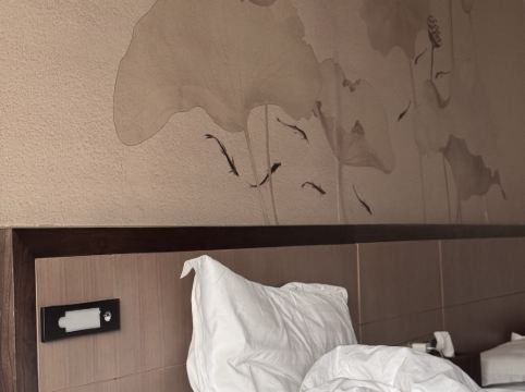 上海青松城大酒店優惠