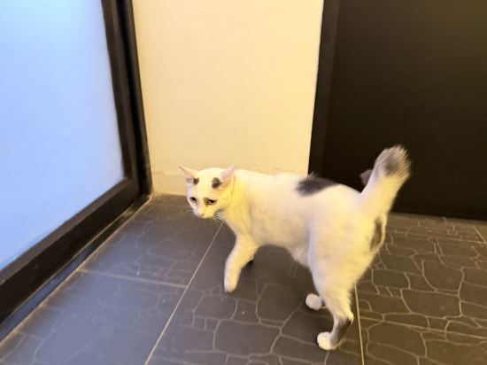 普拉辛格床飯店-僅成人優惠