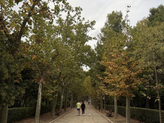 馬德里阿爾卡拉艾爾巴飯店優惠