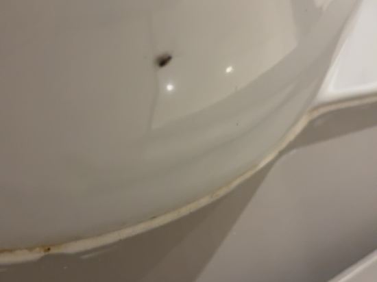橋牌俱樂部優惠