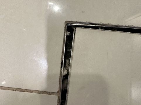 黃金海岸狂想曲度假村優惠