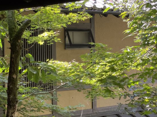 [瀨之本 黑川溫泉]夢龍膽 別館花泊優惠