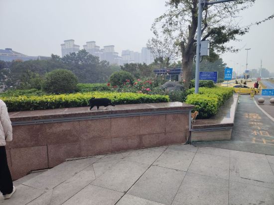 格林豪泰智選飯店（膠州膠東國際機場店）優惠