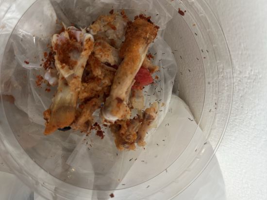 選擇你·設計師飯店優惠