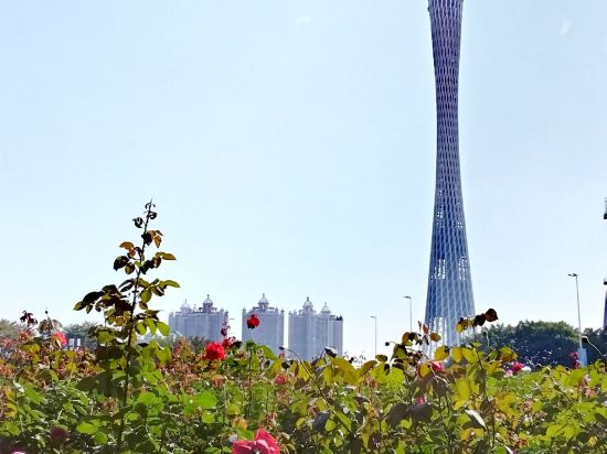 麗楓酒店（廣州黃石機場路店）優惠