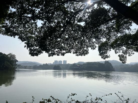 惠州曦湖裡酒店優惠