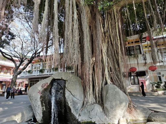 華悅雲頂飯店（廈門北站店）優惠