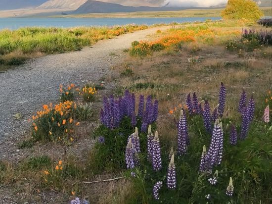 特卡波湖汽車旅館和假日公園優惠