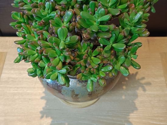 北京盈坤維景飯店優惠