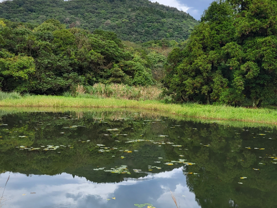 台北北投春天飯店優惠