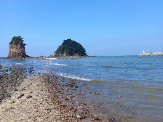 안면도 갤러리펜션 쿠폰